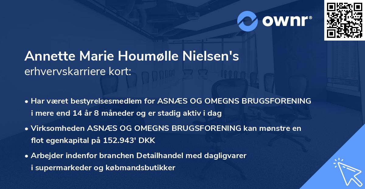 Annette Marie Houmølle Nielsen's erhvervskarriere kort