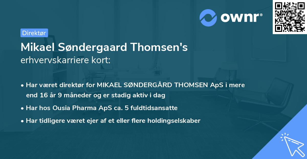 Mikael Søndergaard Thomsen's erhvervskarriere kort