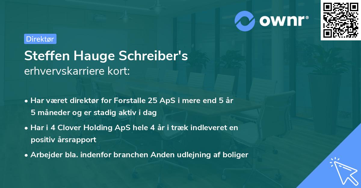 Steffen Hauge Schreiber's erhvervskarriere kort