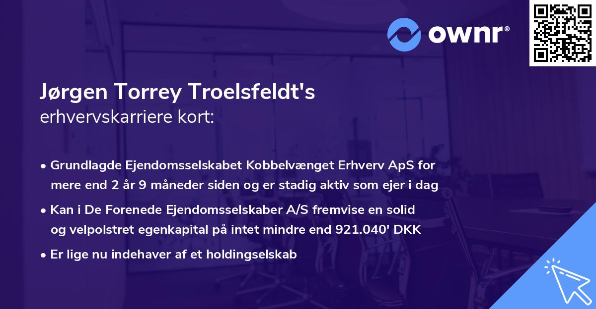 Jørgen Torrey Troelsfeldt's erhvervskarriere kort