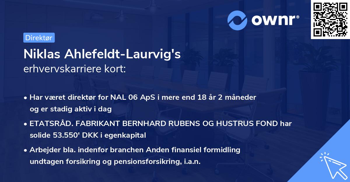 Niklas Ahlefeldt-Laurvig's erhvervskarriere kort