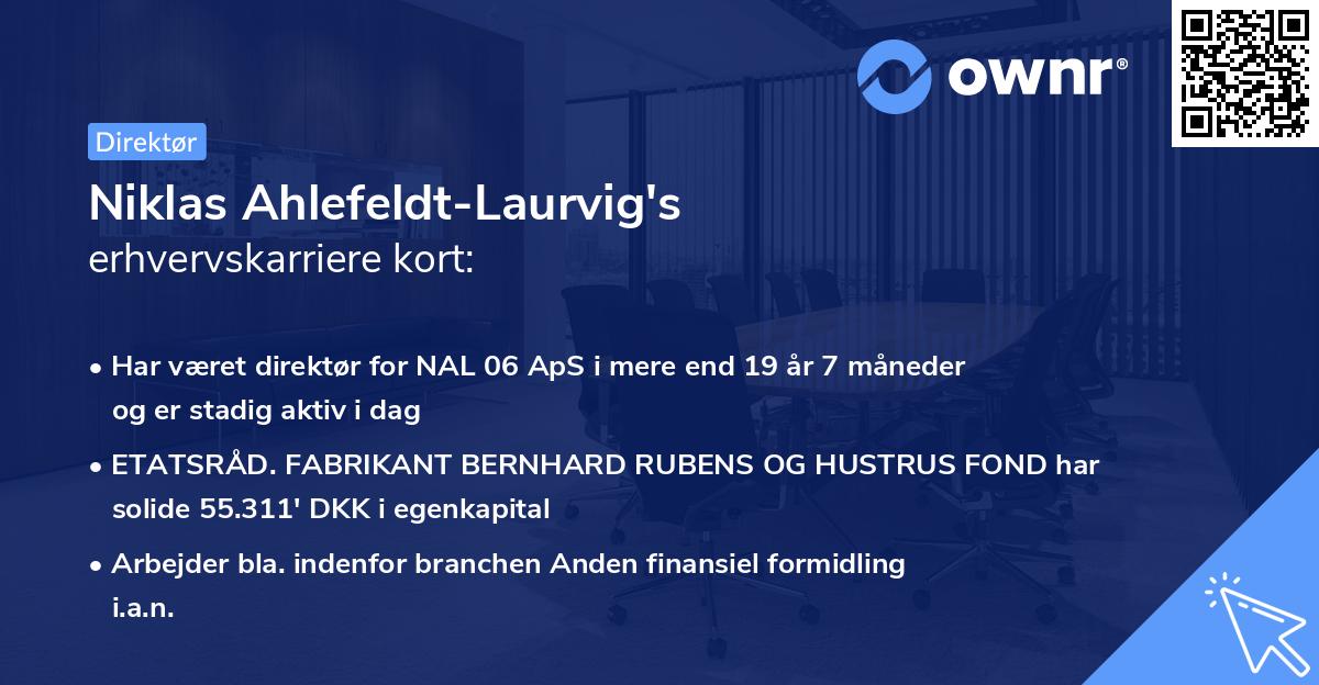 Niklas Ahlefeldt-Laurvig's erhvervskarriere kort