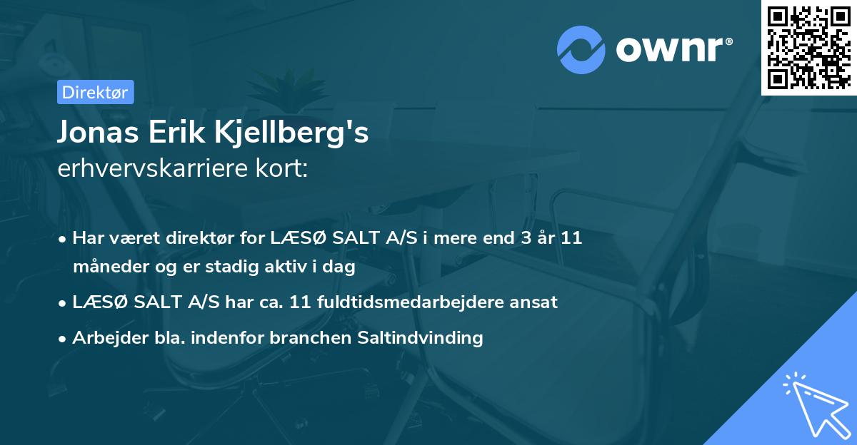 Jonas Erik Kjellberg's erhvervskarriere kort