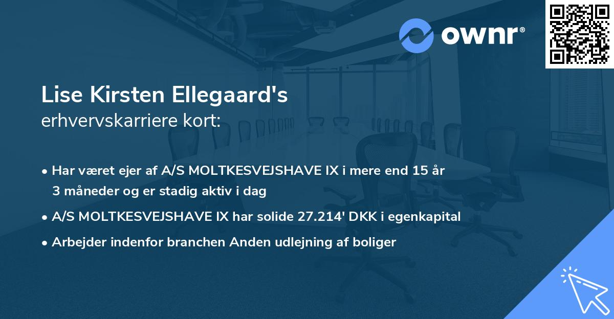 Lise Kirsten Ellegaard's erhvervskarriere kort