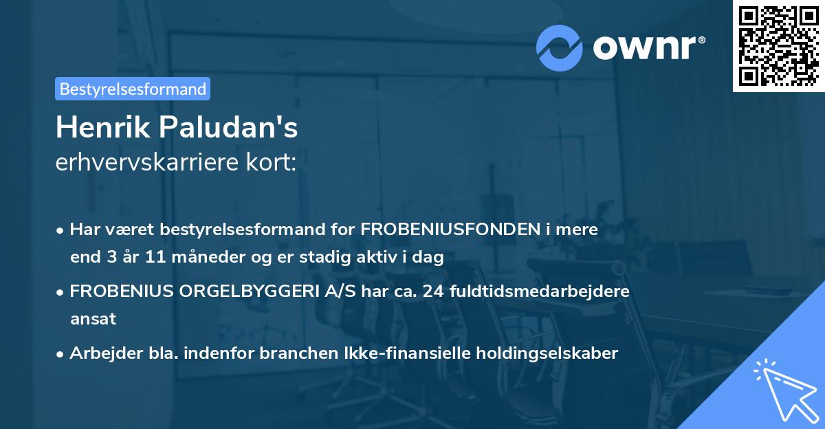 Henrik Paludan's erhvervskarriere kort