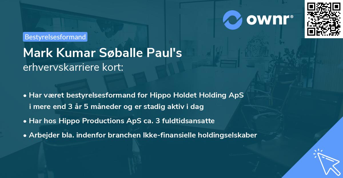 Mark Kumar Søballe Paul's erhvervskarriere kort