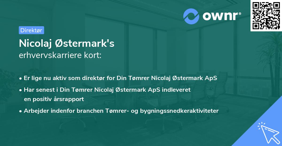 Nicolaj Østermark's erhvervskarriere kort