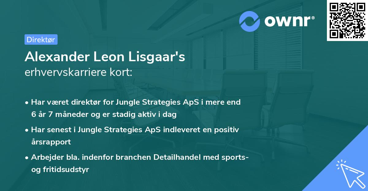 Alexander Leon Lisgaar's erhvervskarriere kort