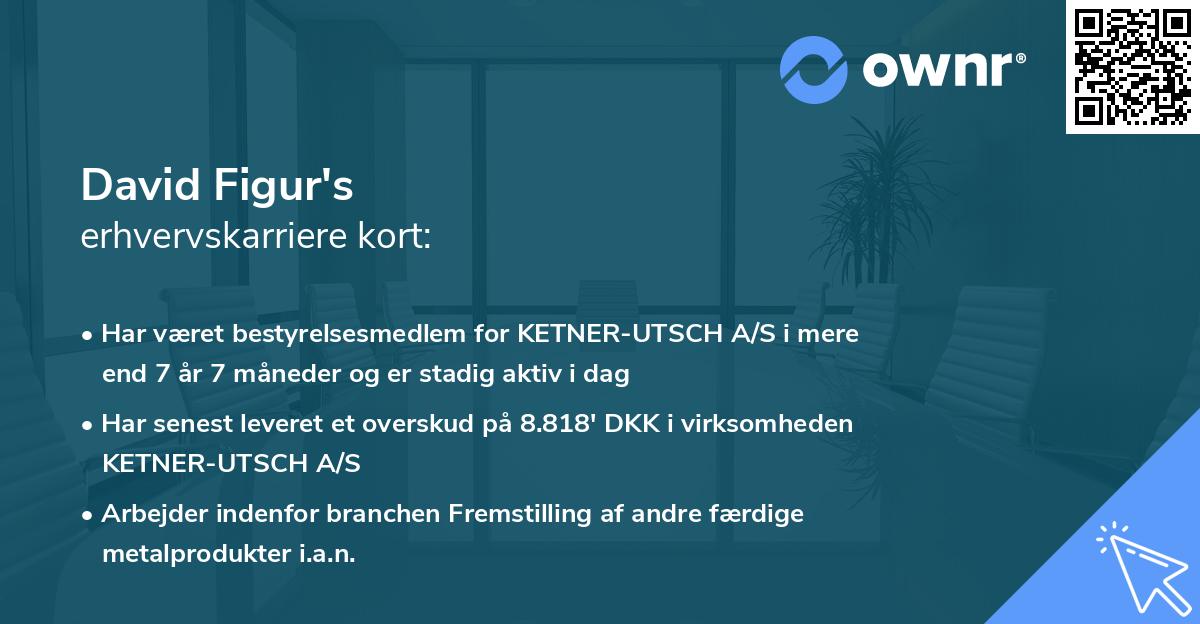 David Figur's erhvervskarriere kort