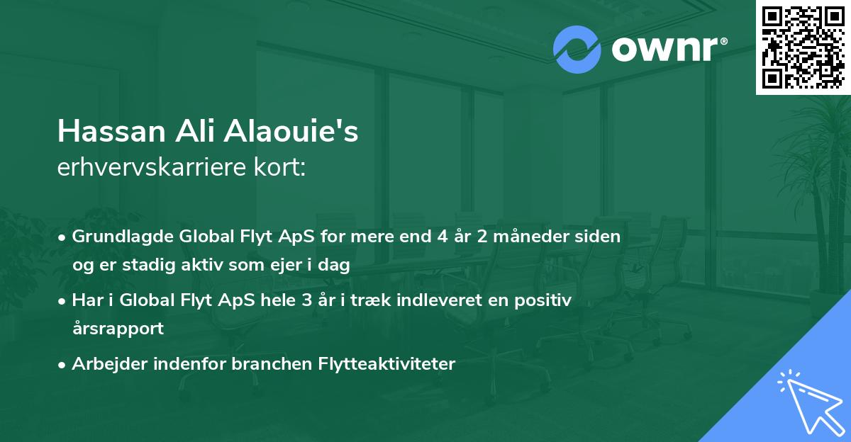 Hassan Ali Alaouie's erhvervskarriere kort
