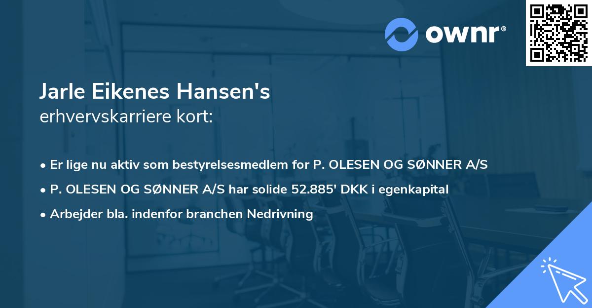 Jarle Eikenes Hansen's erhvervskarriere kort