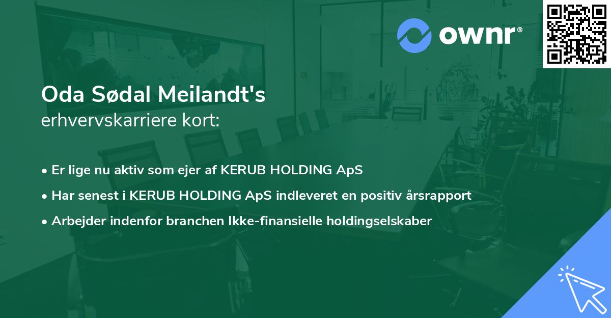 Oda Sødal Meilandt's erhvervskarriere kort
