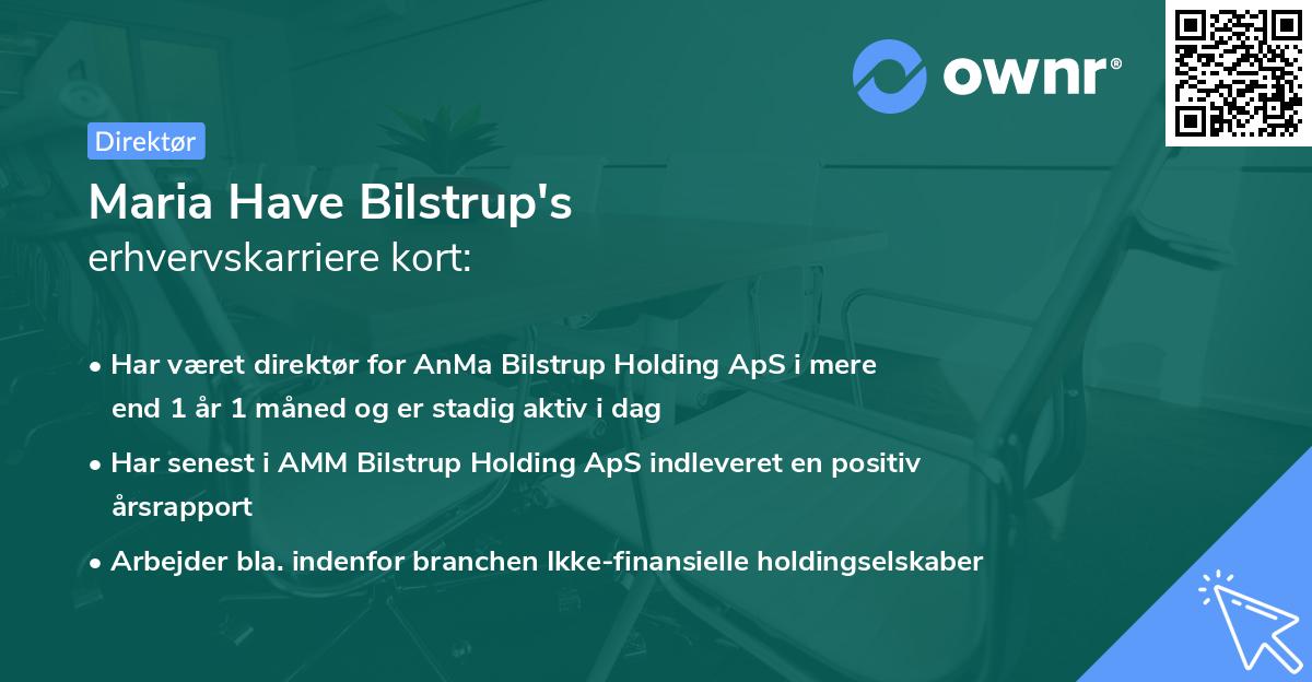 Maria Have Bilstrup's erhvervskarriere kort