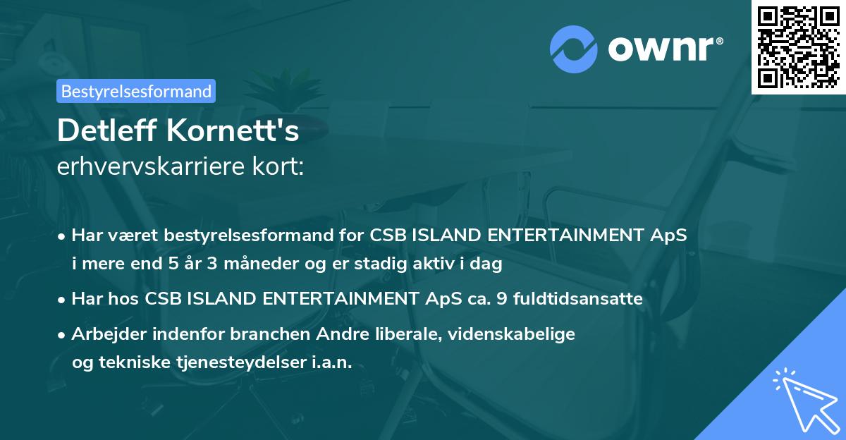 Detleff Kornett's erhvervskarriere kort