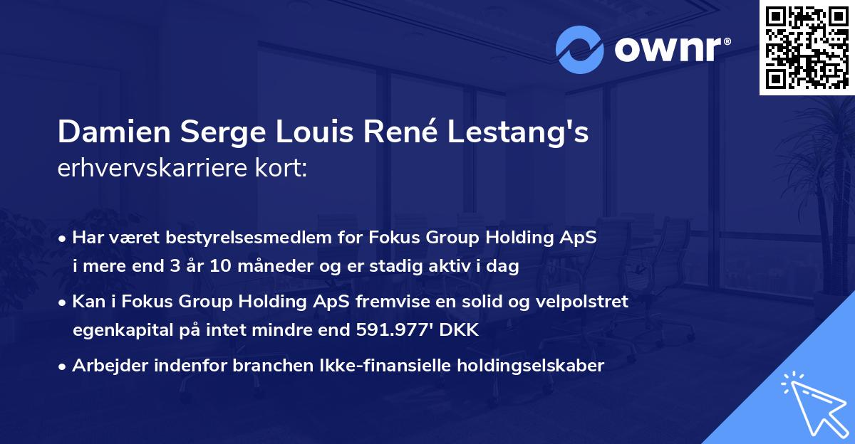 Damien Serge Louis René Lestang's erhvervskarriere kort