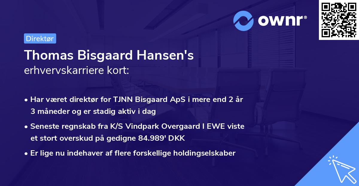 Thomas Bisgaard Hansen's erhvervskarriere kort