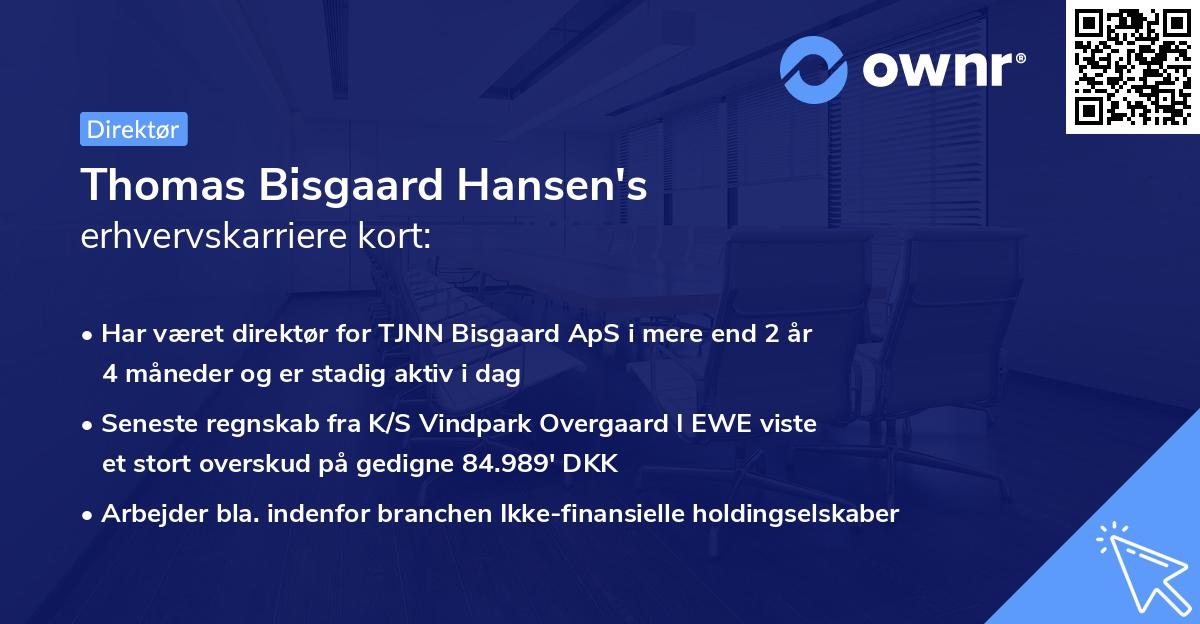 Thomas Bisgaard Hansen's erhvervskarriere kort