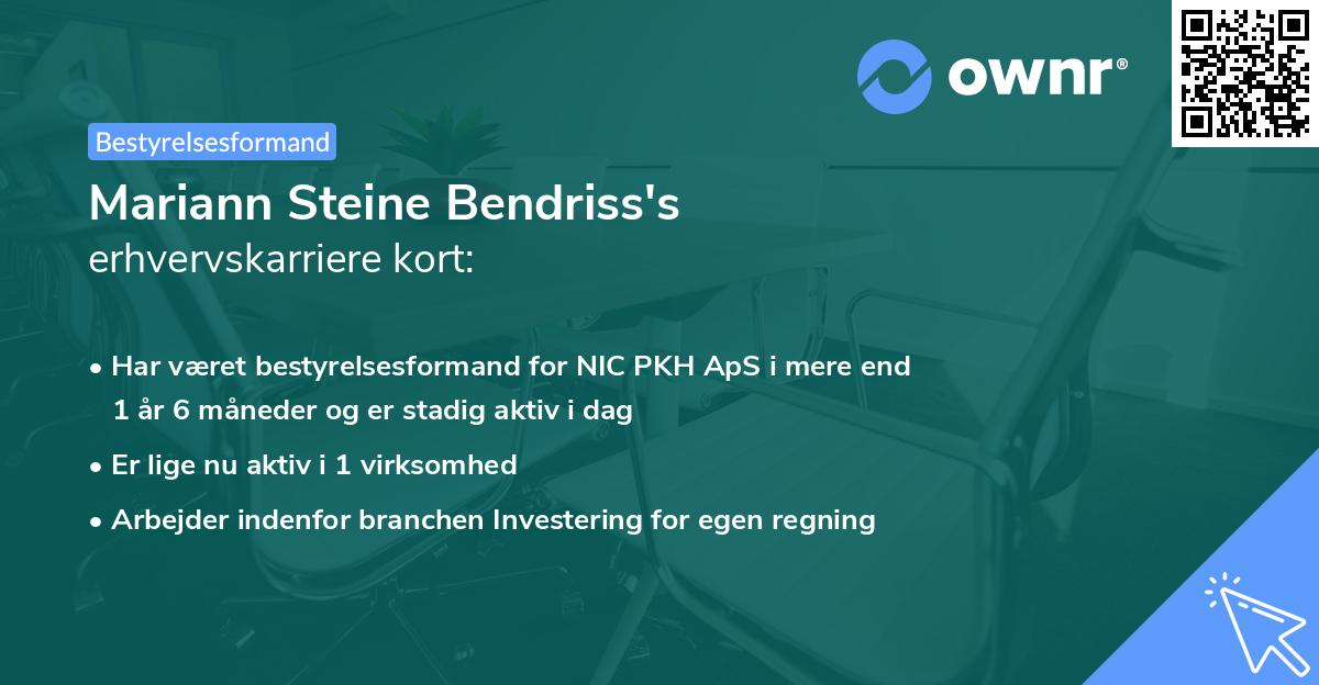 Mariann Steine Bendriss's erhvervskarriere kort