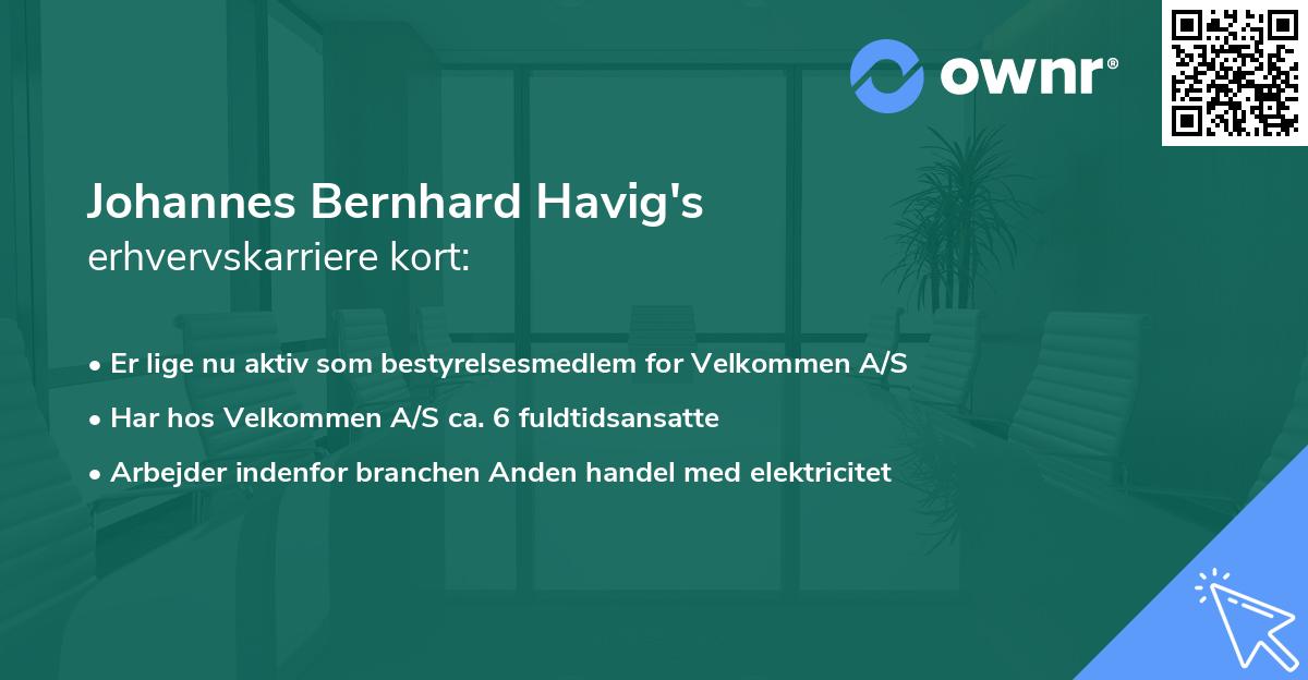 Johannes Bernhard Havig's erhvervskarriere kort