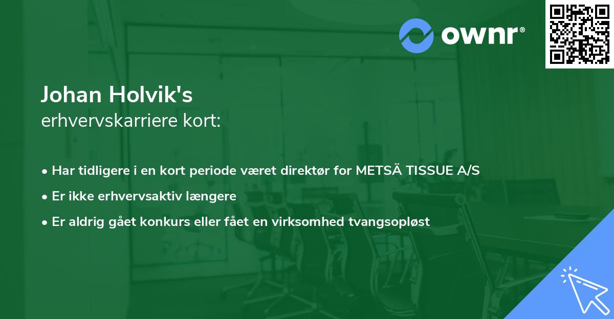 Johan Holvik's erhvervskarriere kort