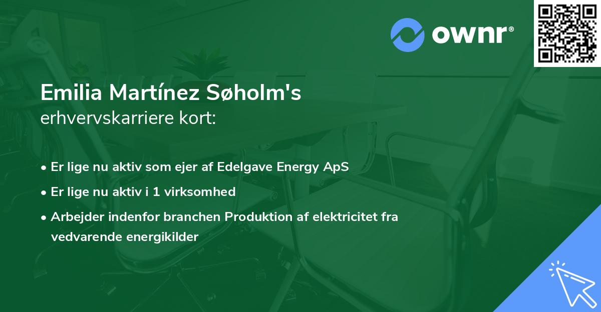 Emilia Martínez Søholm's erhvervskarriere kort