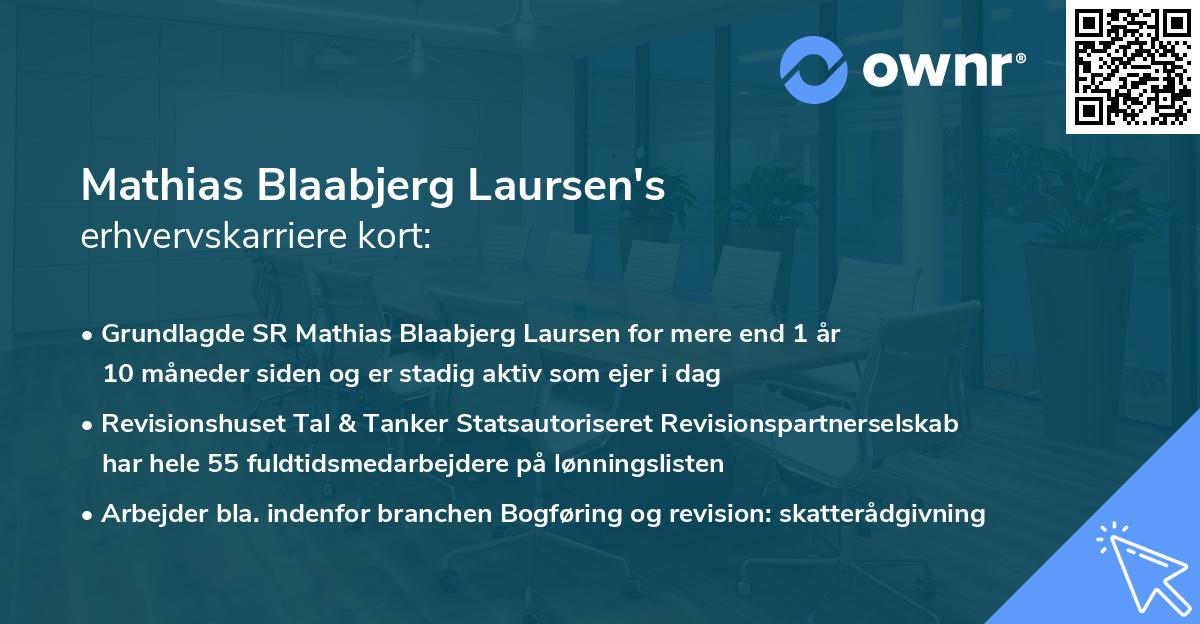 Mathias Blaabjerg Laursen's erhvervskarriere kort