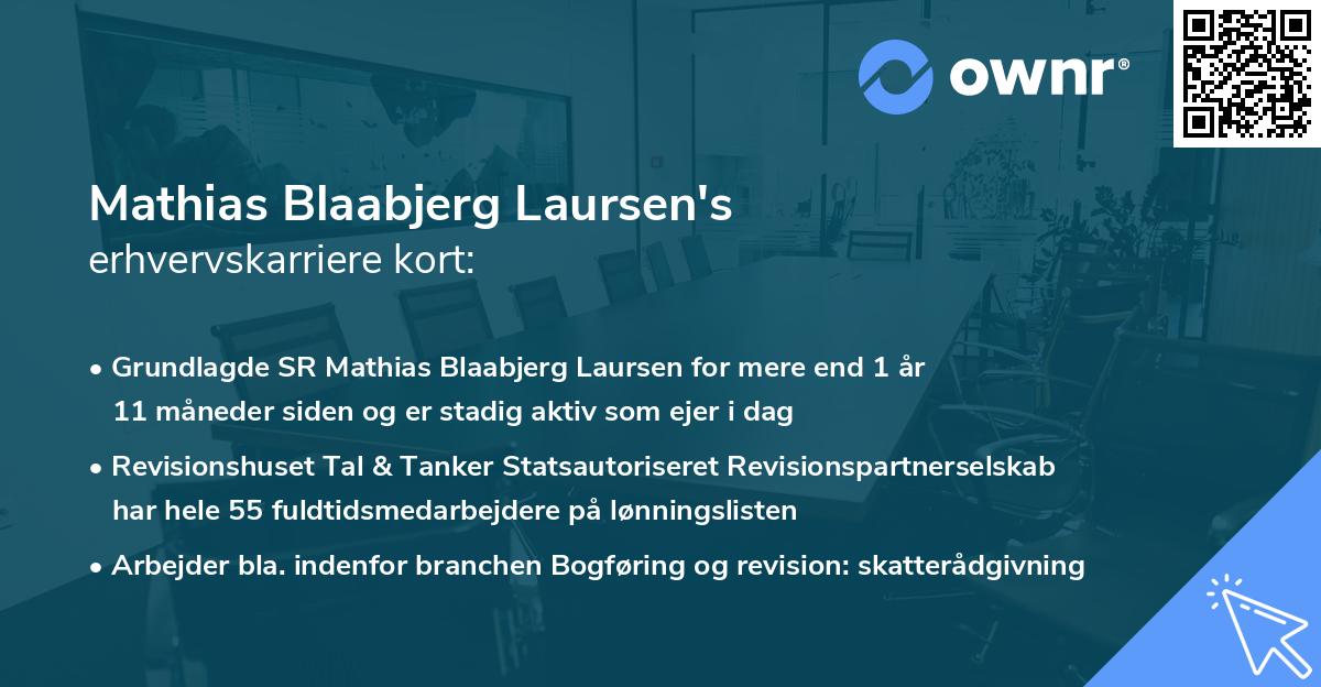 Mathias Blaabjerg Laursen's erhvervskarriere kort