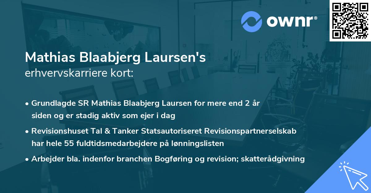 Mathias Blaabjerg Laursen's erhvervskarriere kort