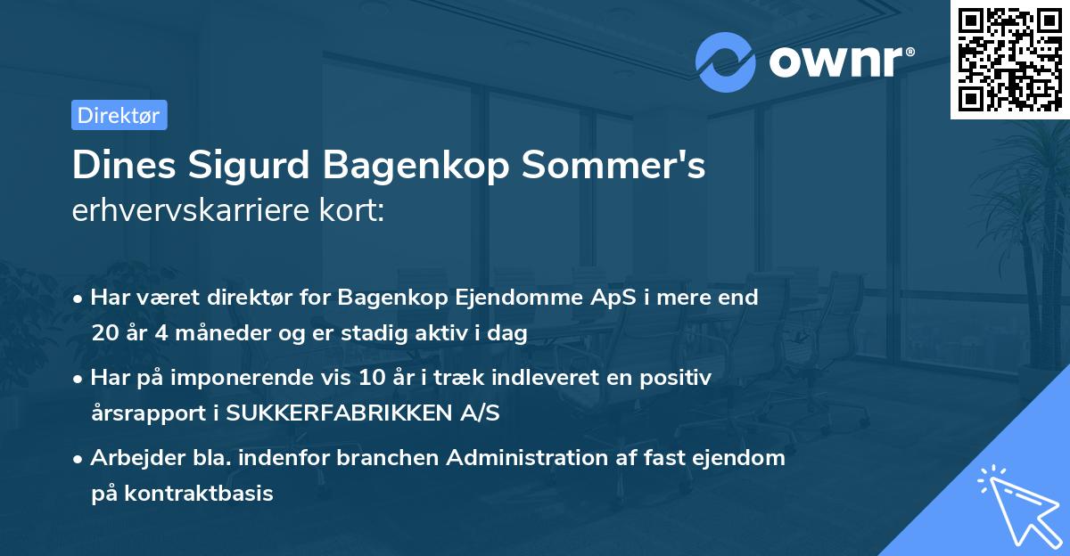 Dines Sigurd Bagenkop Sommer's erhvervskarriere kort