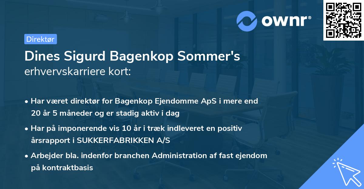 Dines Sigurd Bagenkop Sommer's erhvervskarriere kort