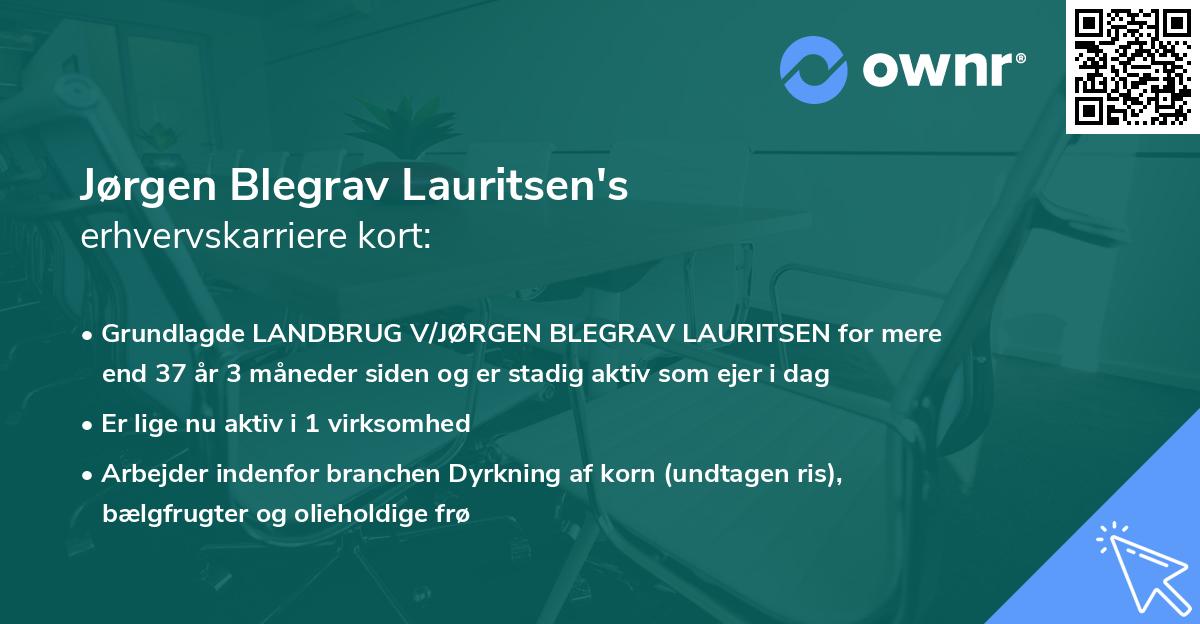 Jørgen Blegrav Lauritsen's erhvervskarriere kort