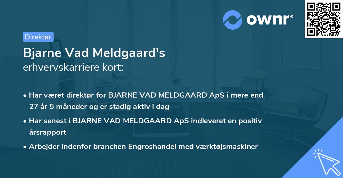 Bjarne Vad Meldgaard's erhvervskarriere kort