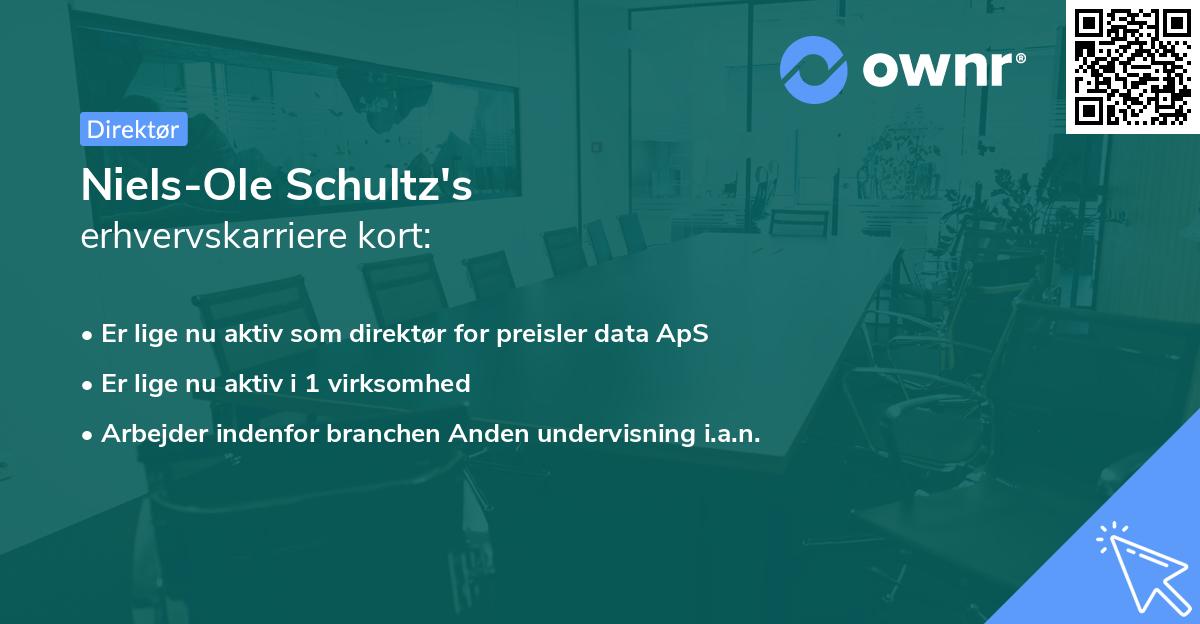 Niels-Ole Schultz's erhvervskarriere kort