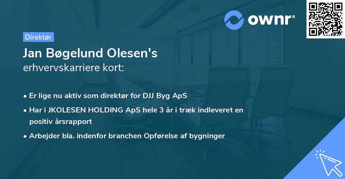 Jan Bøgelund Olesen's erhvervskarriere kort