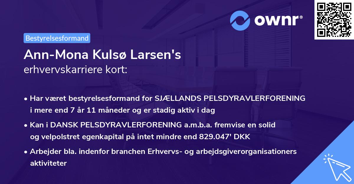 Ann-Mona Kulsø Larsen's erhvervskarriere kort