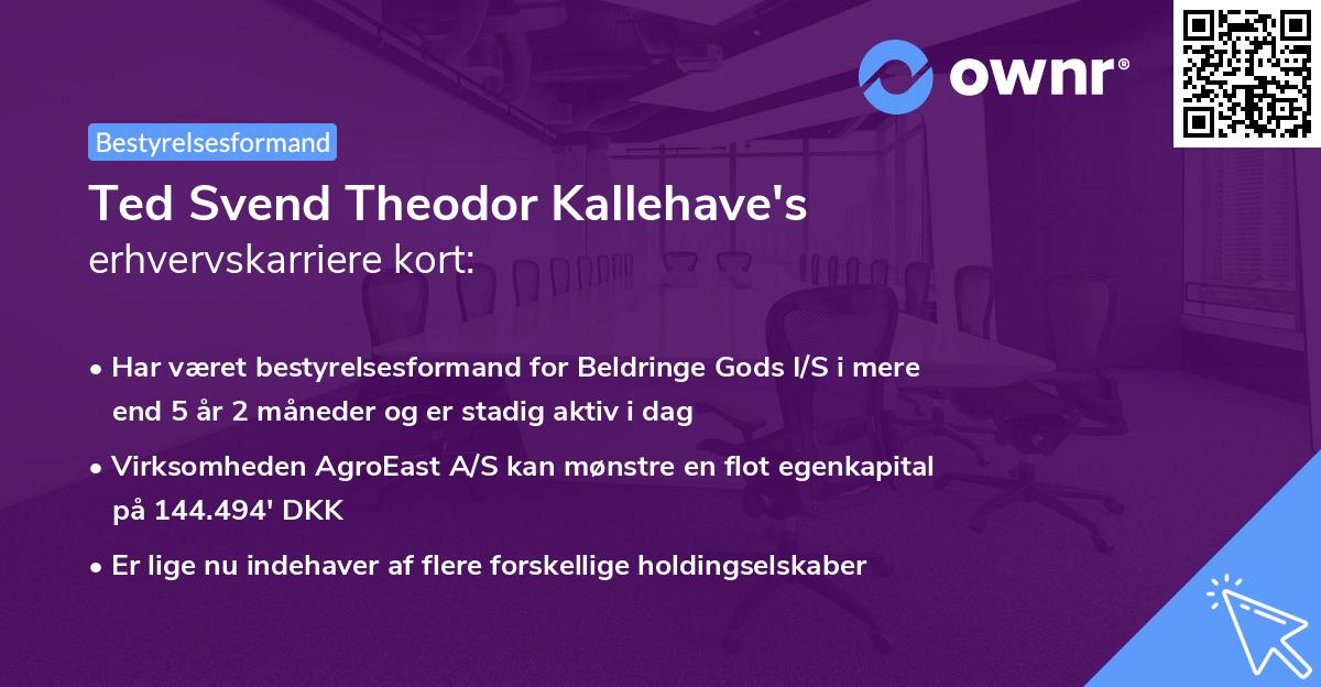 Ted Svend Theodor Kallehave's erhvervskarriere kort