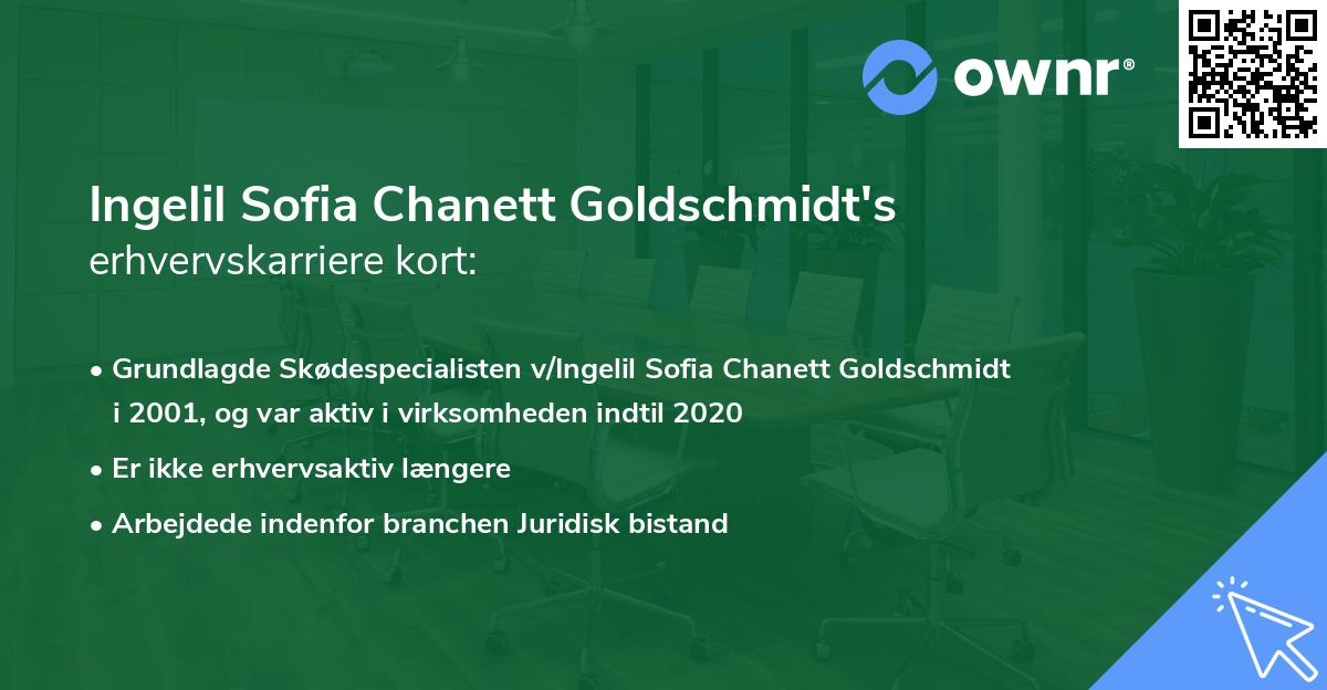 Ingelil Sofia Chanett Goldschmidt's erhvervskarriere kort