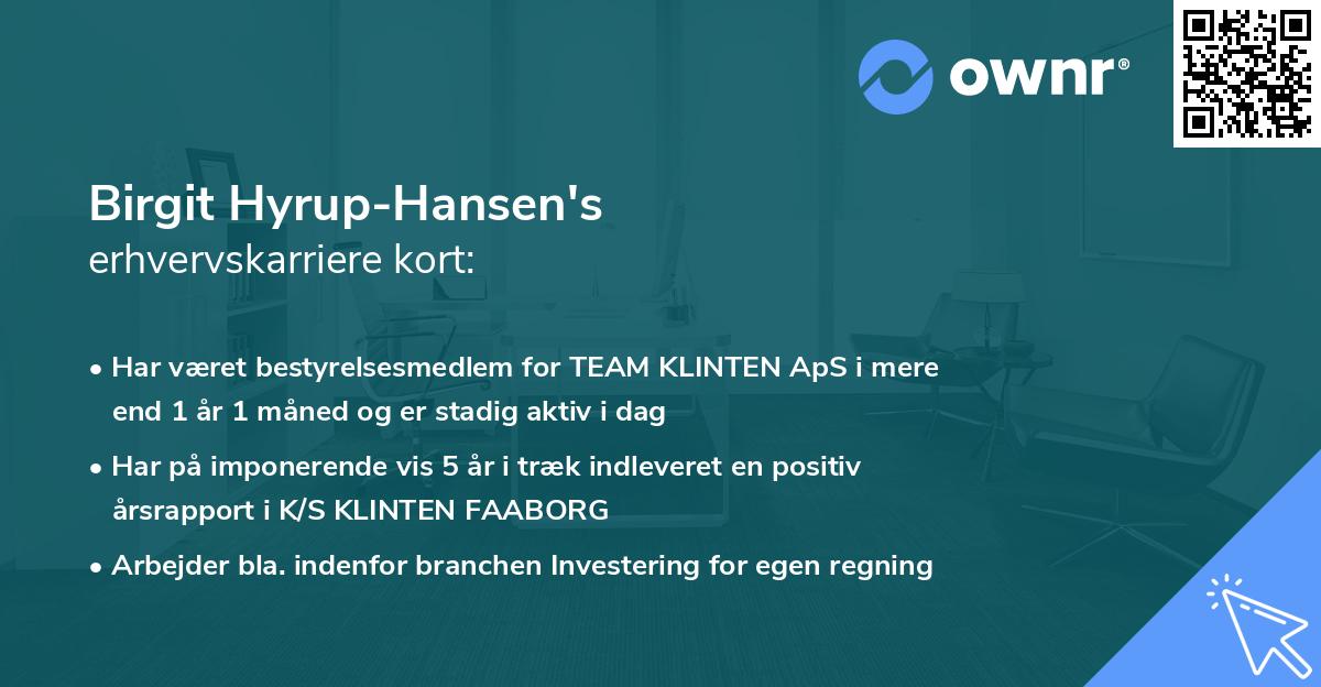 Birgit Hyrup-Hansen's erhvervskarriere kort