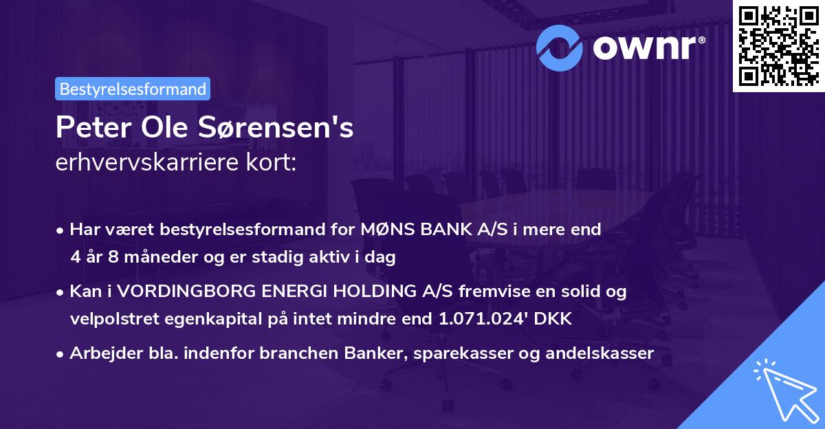 Peter Ole Sørensen's erhvervskarriere kort