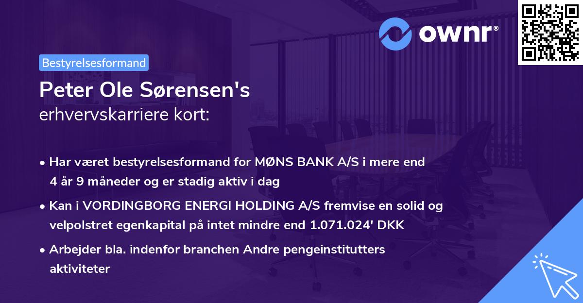 Peter Ole Sørensen's erhvervskarriere kort