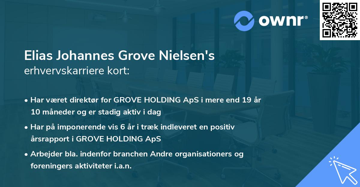 Elias Johannes Grove Nielsen's erhvervskarriere kort