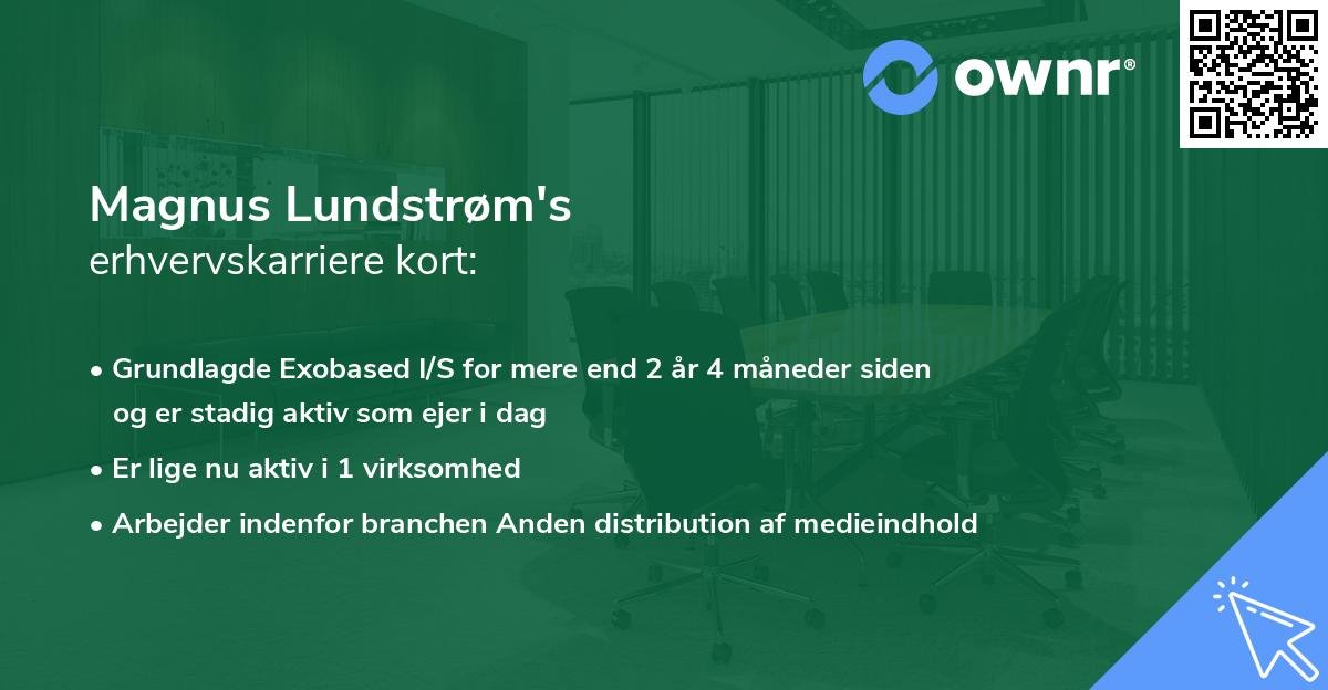 Magnus Lundstrøm's erhvervskarriere kort