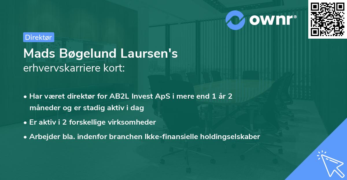 Mads Bøgelund Laursen's erhvervskarriere kort