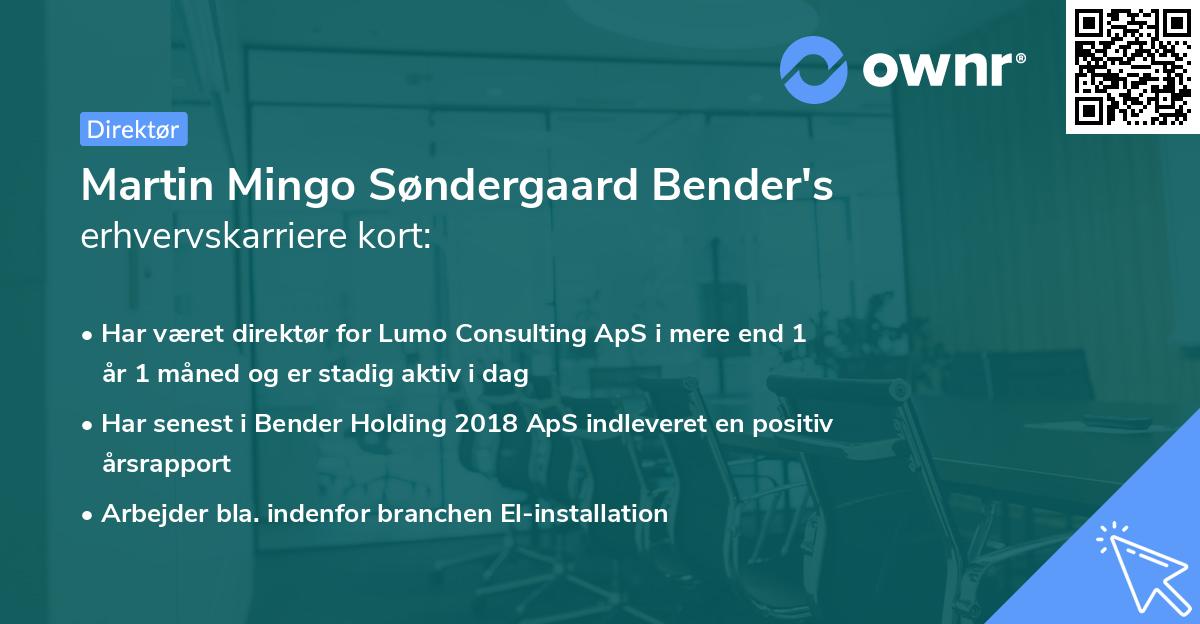 Martin Mingo Søndergaard Bender's erhvervskarriere kort