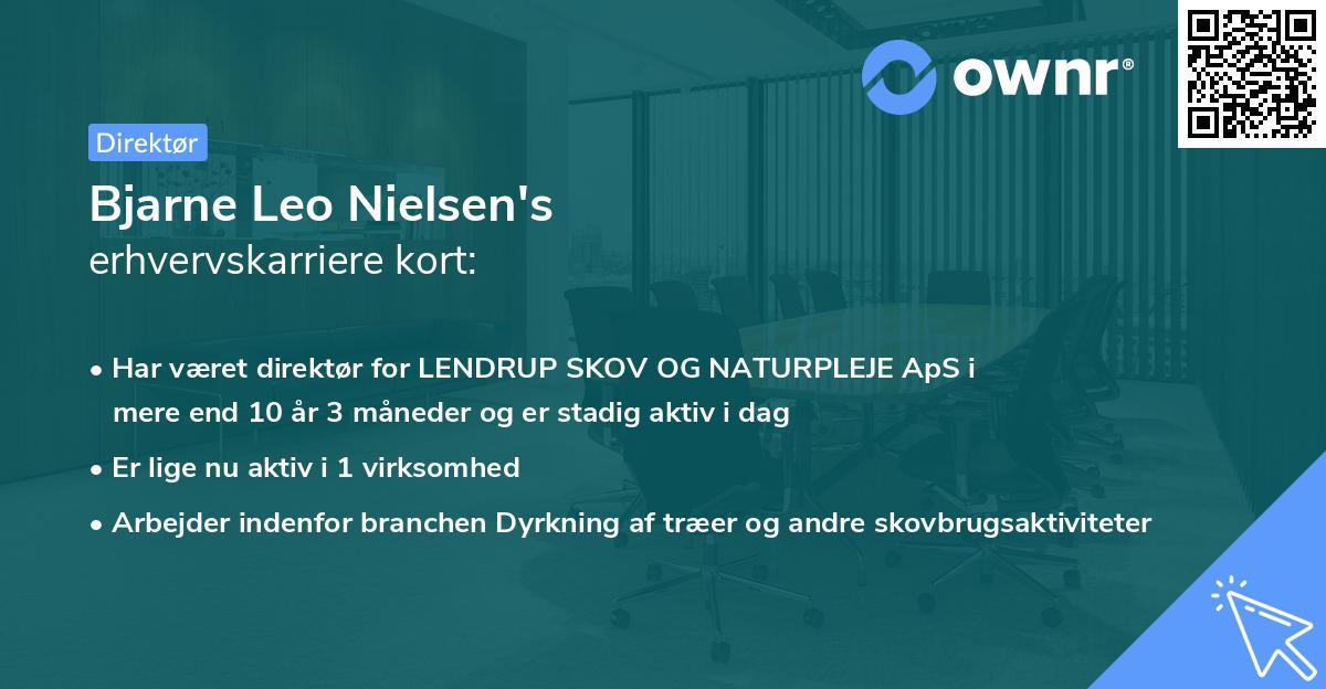 Bjarne Leo Nielsen's erhvervskarriere kort