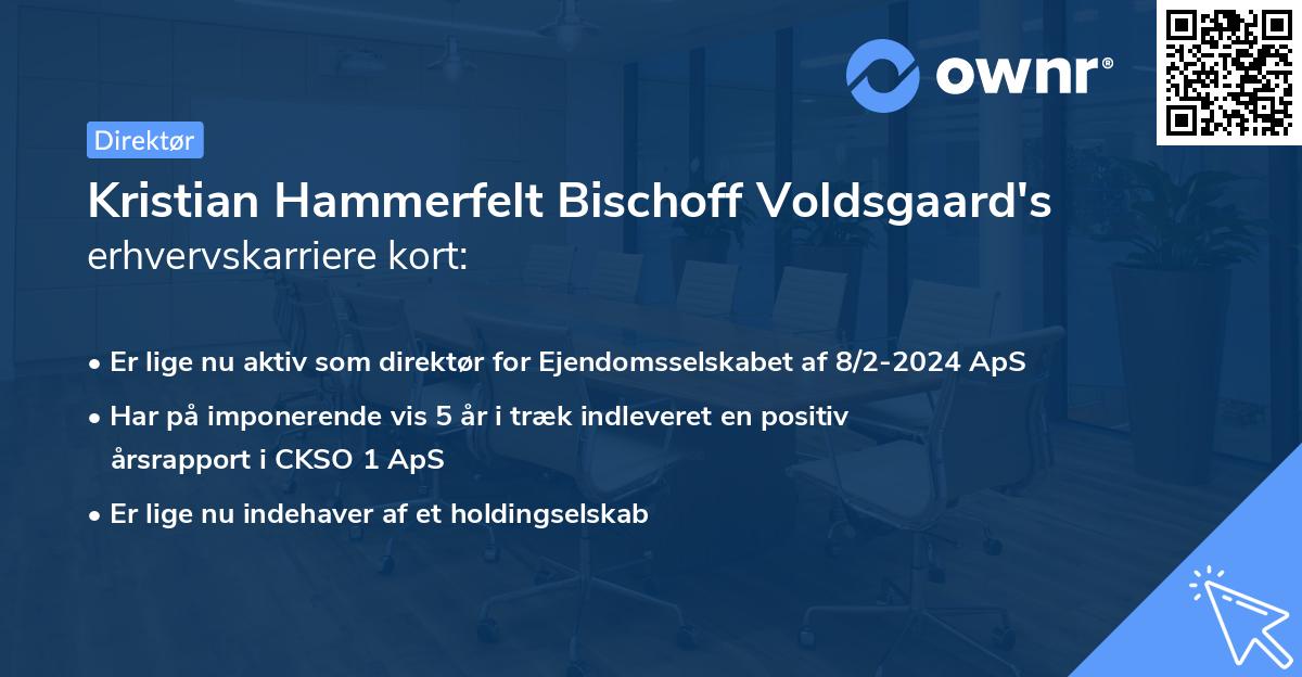 Kristian Hammerfelt Bischoff Voldsgaard's erhvervskarriere kort