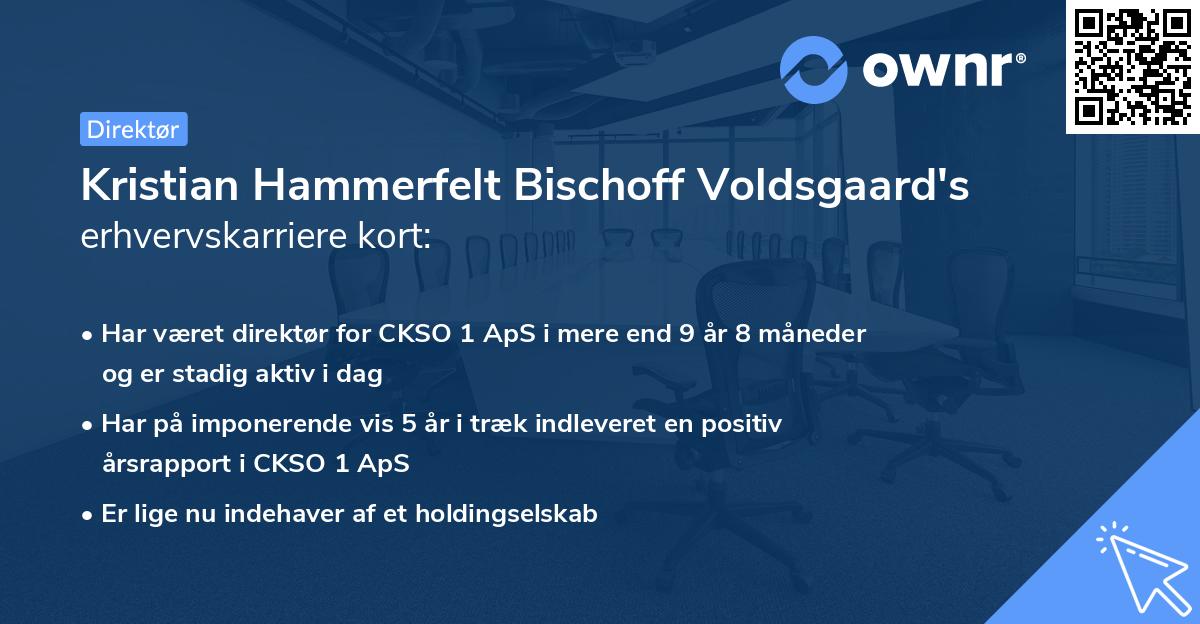 Kristian Hammerfelt Bischoff Voldsgaard's erhvervskarriere kort