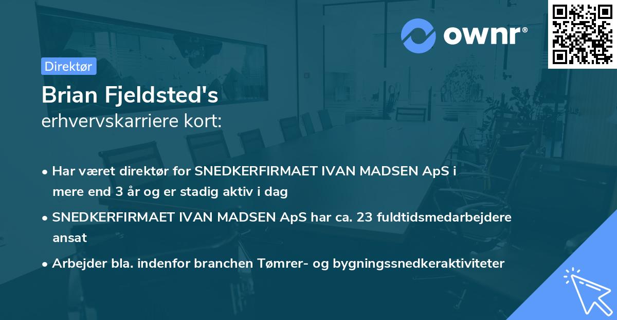 Brian Fjeldsted's erhvervskarriere kort