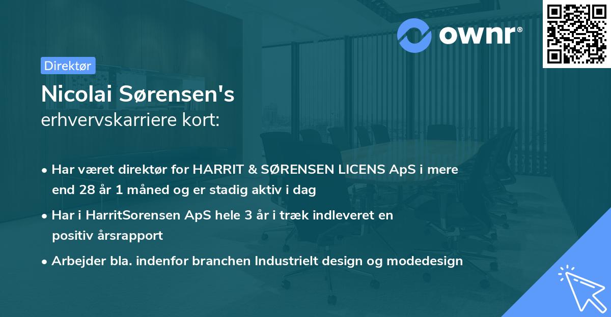 Nicolai Sørensen's erhvervskarriere kort