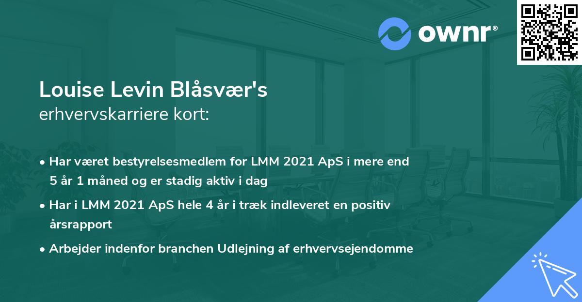 Louise Levin Blåsvær's erhvervskarriere kort